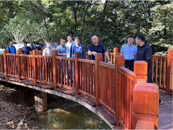 拉高標(biāo)桿塑精品   加壓奮進(jìn)齊攻堅——集團(tuán)公司黨委書記、董事長王元斌調(diào)研太平山項目建設(shè)