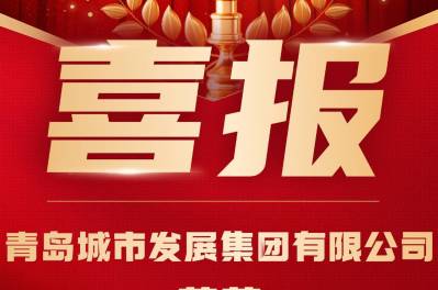 集團(tuán)公司喜獲AA+主體信用評級